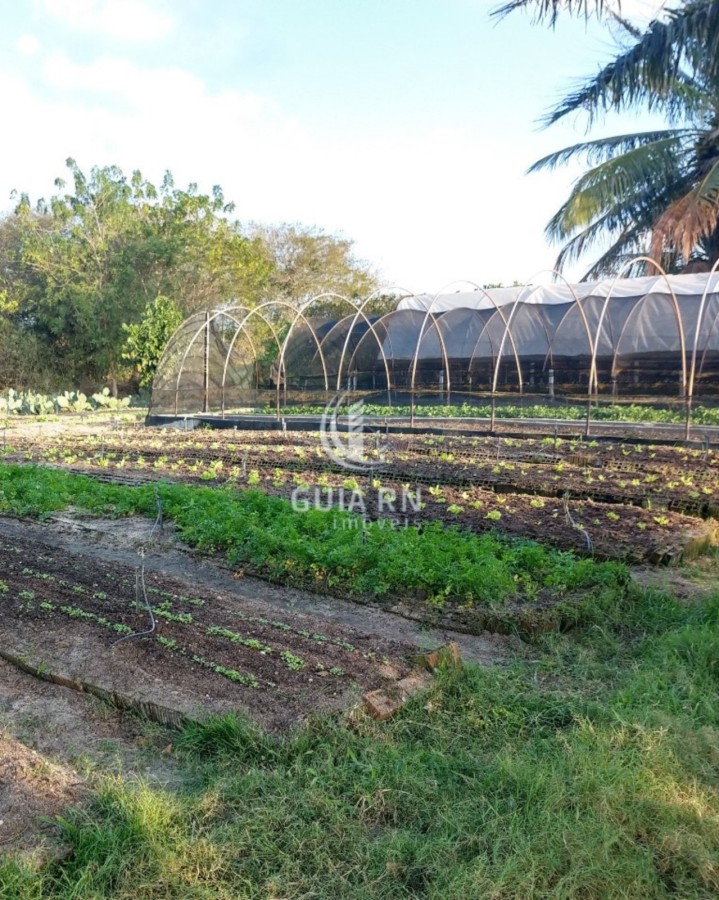 Terreno, 1756 m² - Foto 8