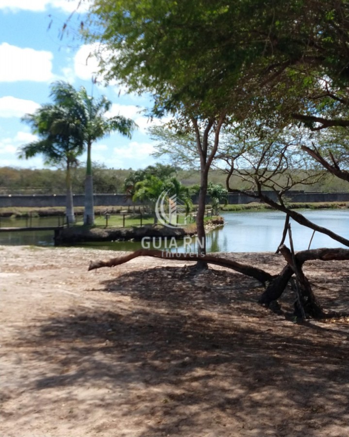 Terreno, 1756 m² - Foto 10