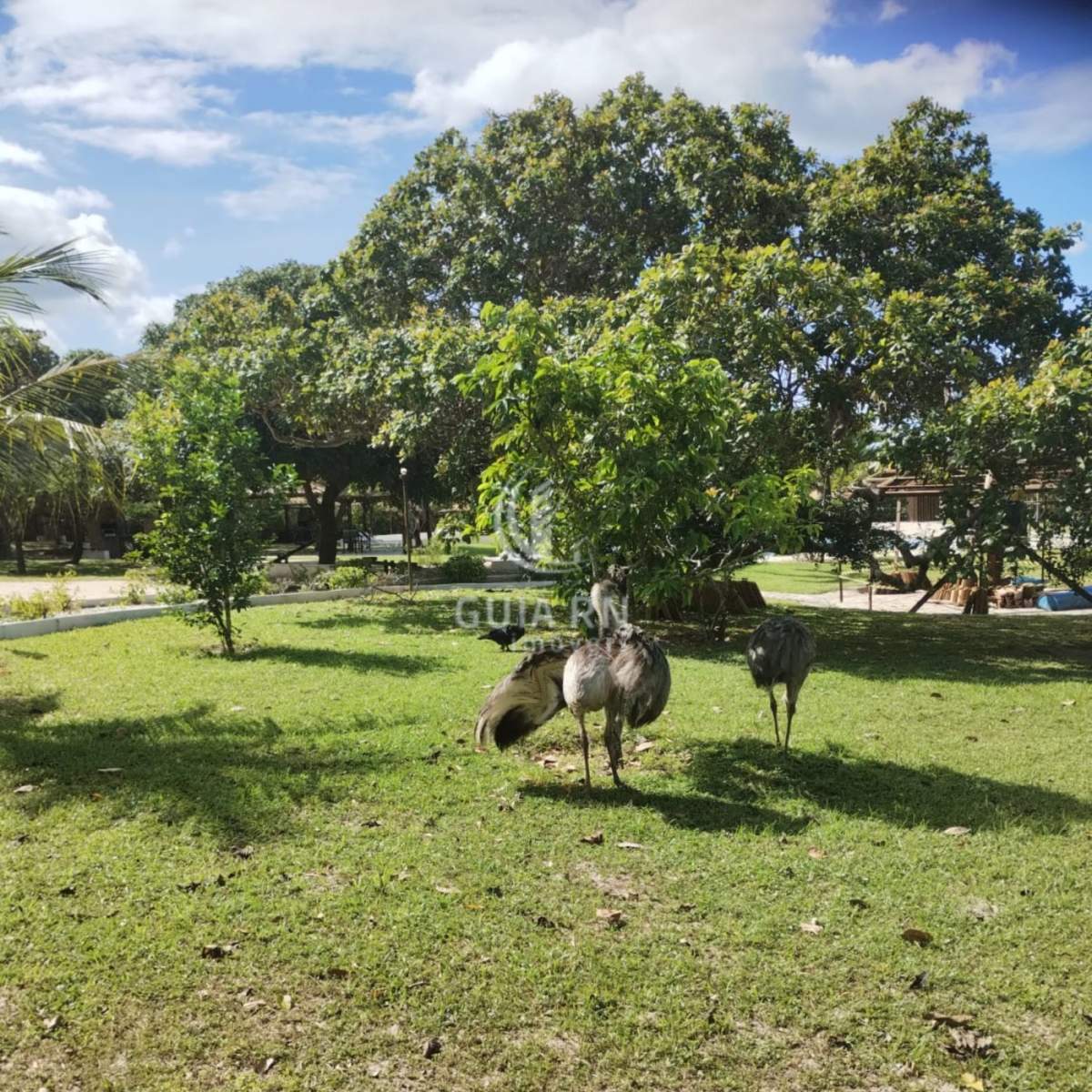 Terreno, 750 m² - Foto 8