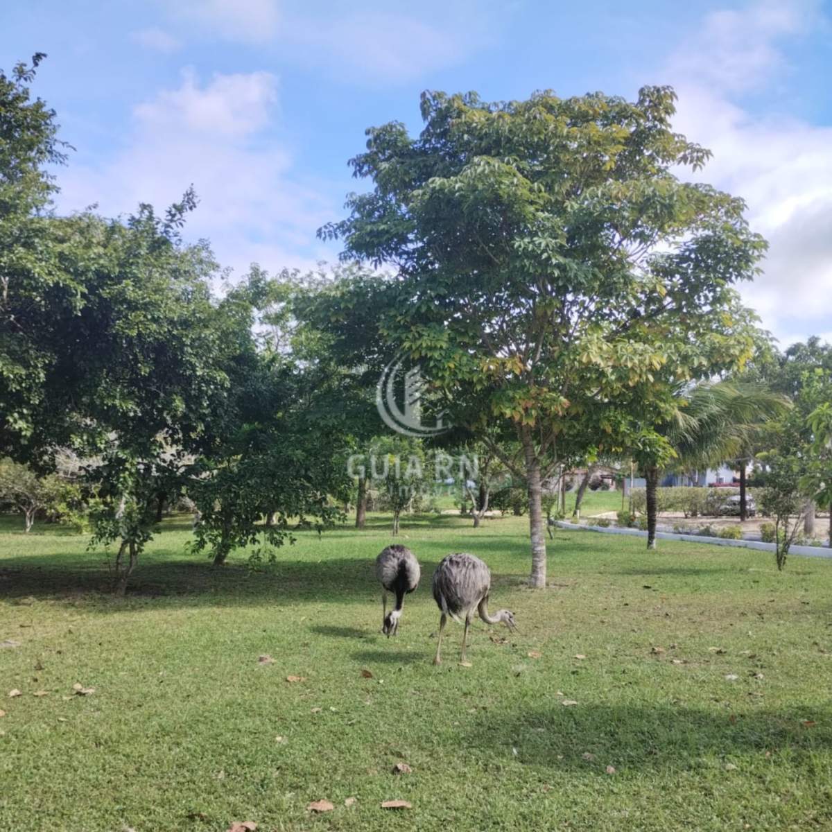 Terreno, 750 m² - Foto 7