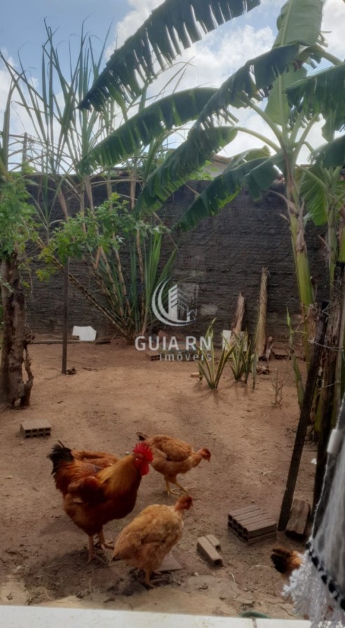 Casa, 2 quartos - Foto 7