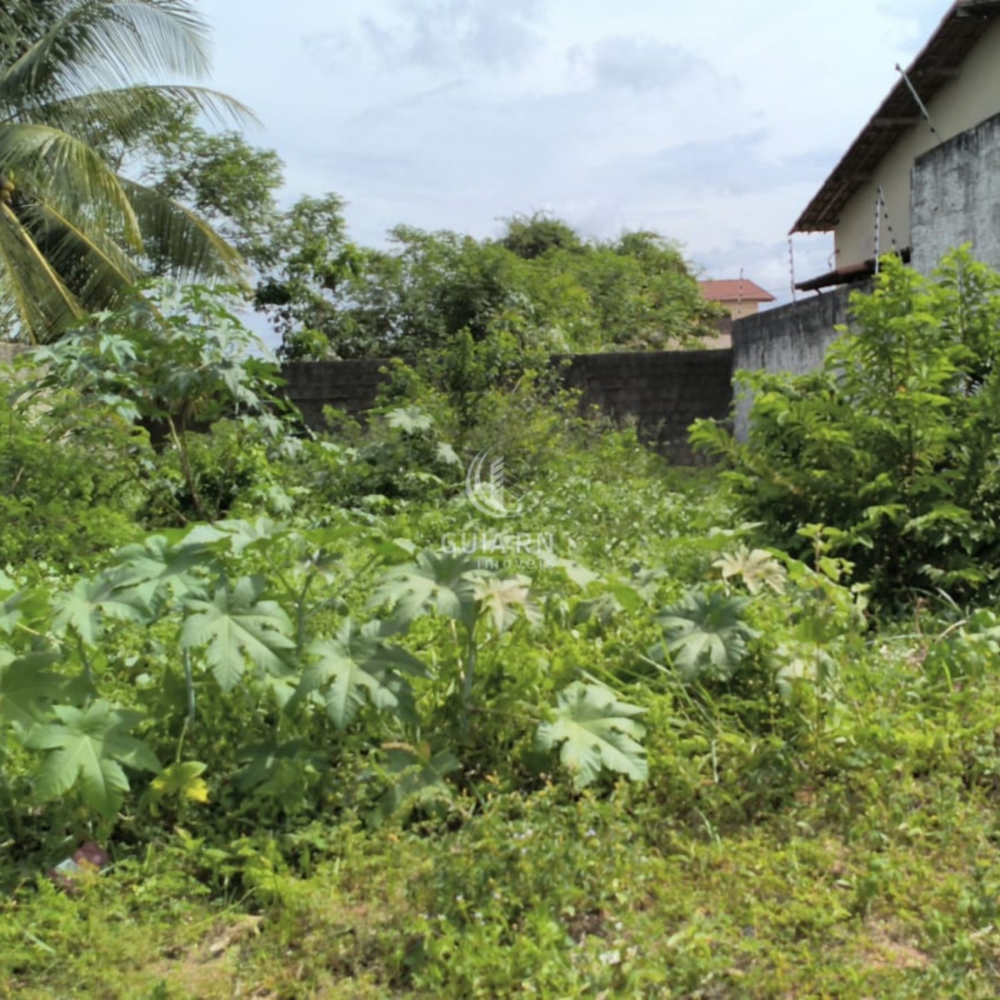 Terreno, 200 m² - Foto 4