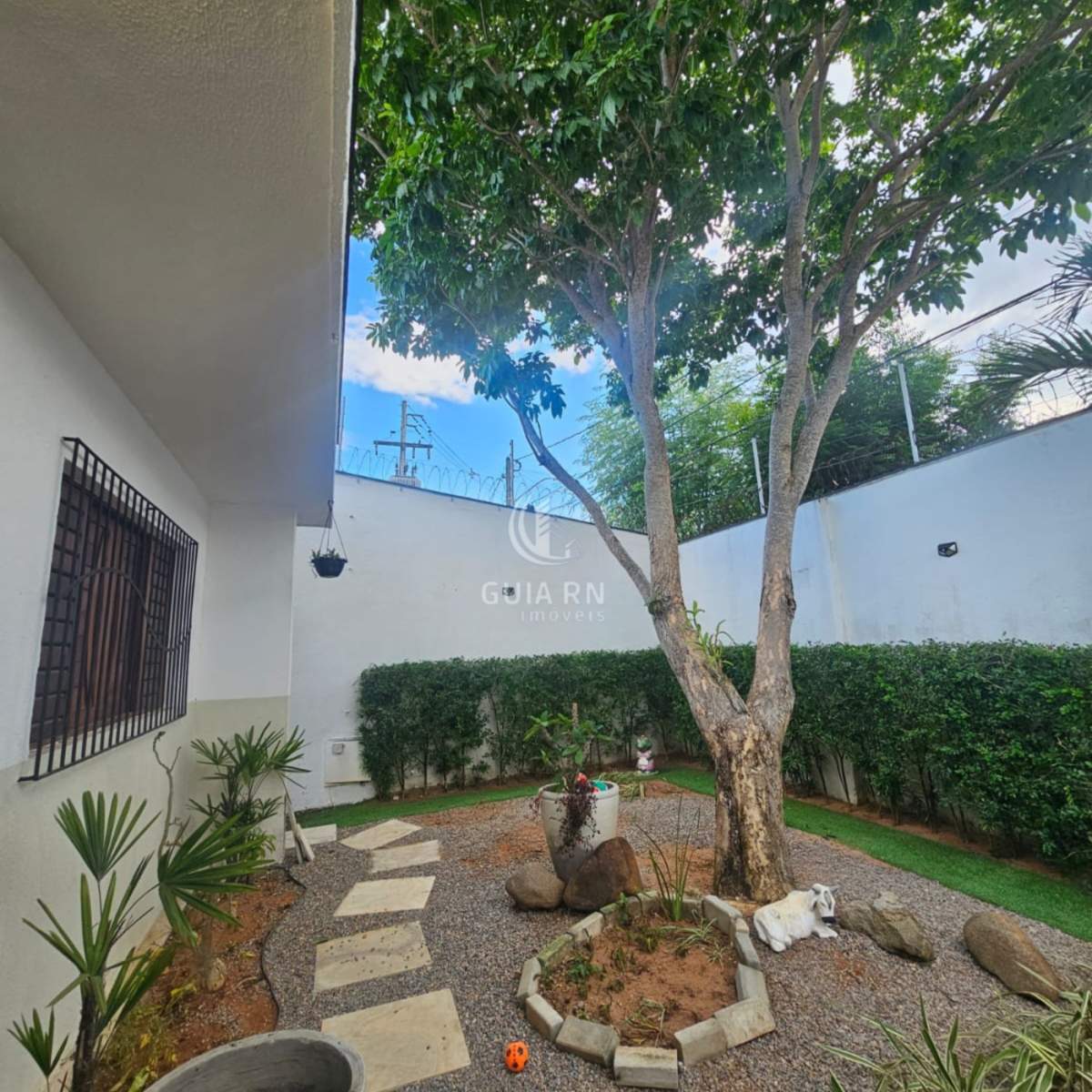 Casa, 7 quartos - Foto 2